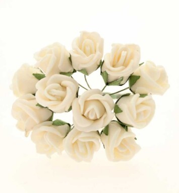 Montana Foam Rose - Cream