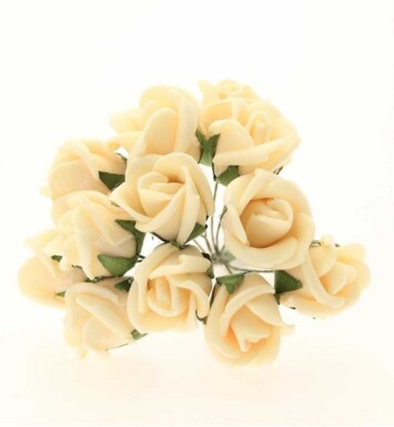 Montana Foam Rose - Lemon