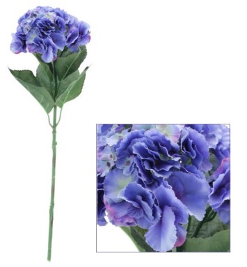 Single Hydrangea Blue