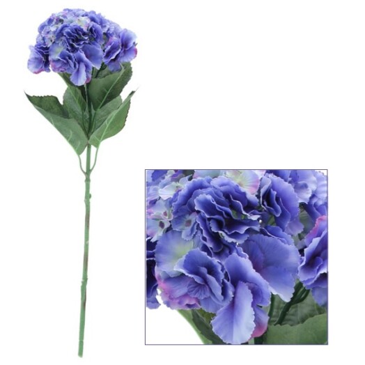 Hydrangea Blue