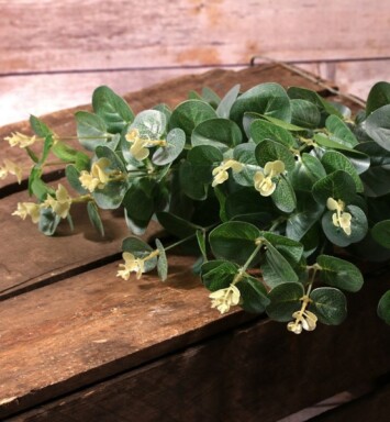 Eucalyptus Bush Green