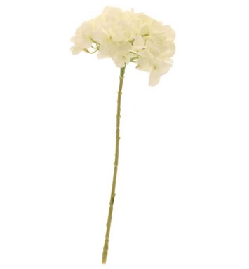 Short Stem Single Hydrangea Cream