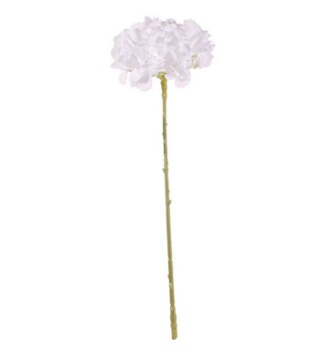 Short Stem Single Hydrangea White