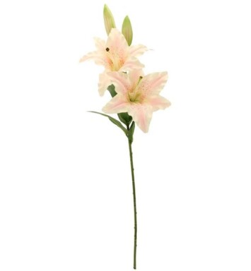 Lily 4 Heads - Light Pink