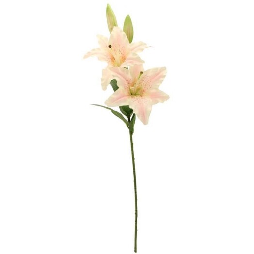Lily 4 Heads - Light Pink