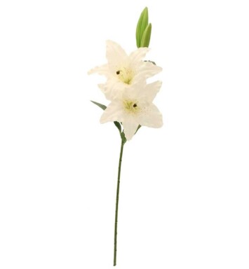 Lily 4 Heads - White