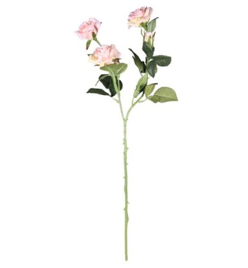 Richmond Rose 4 Heads - Light Pink