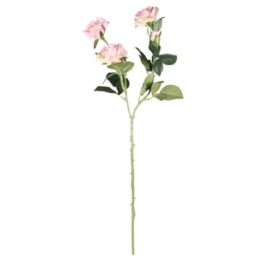Richmond Rose 4 Heads - Light Pink