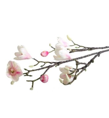 Magnolia Branch Blush Pink