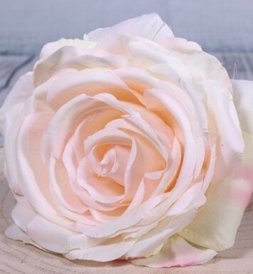 Medium Open Camelot Rose Champagne