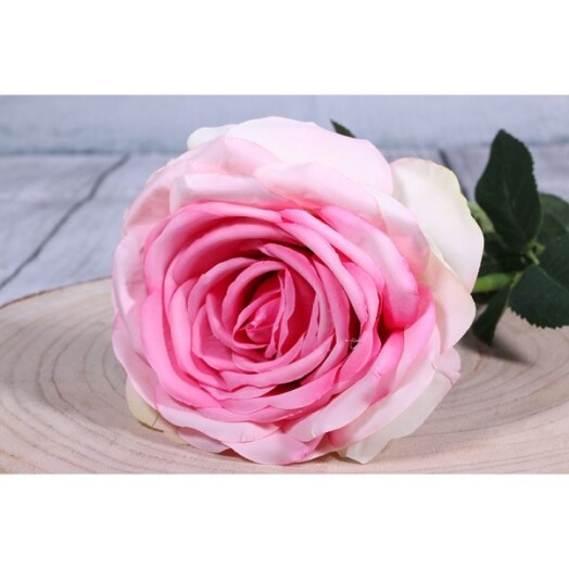 Medium Open Camelot Rose Pink