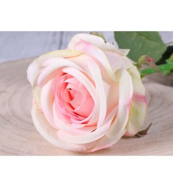 Medium Camelot Rose Bud Blush Pink