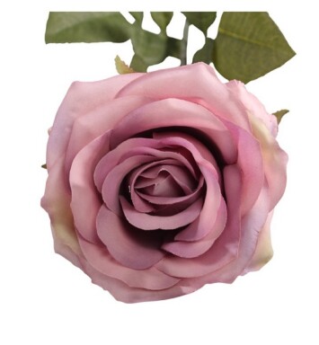 Vintage Rose Lilac
