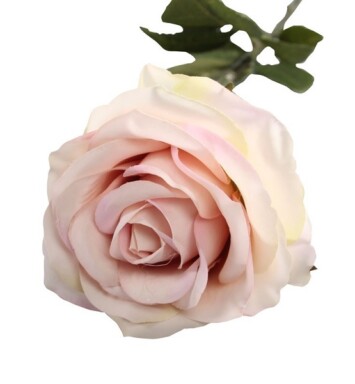 Vintage Rose Blush Pink