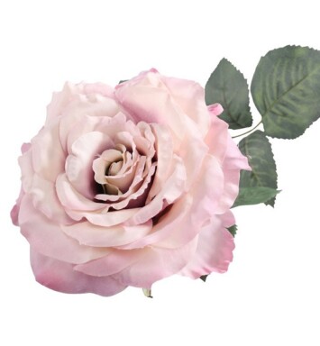 74cm Single Addie Rose Antique Pink