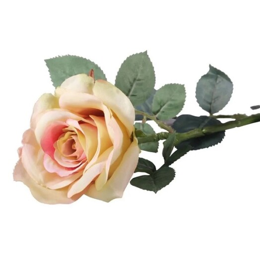 72cm Single Olivia Rose Antique Cream Blush