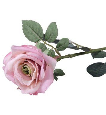 72cm Single Olivia Rose Antique Pink