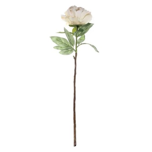 71cm Single Peony Cream
