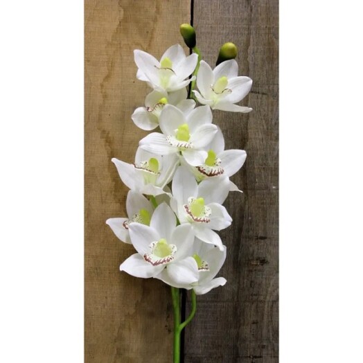 Real Touch Cymbidium Spray White