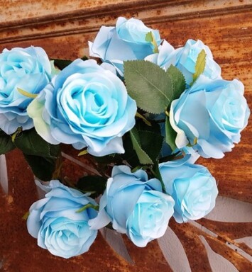 Antique Rose Bush - Blue