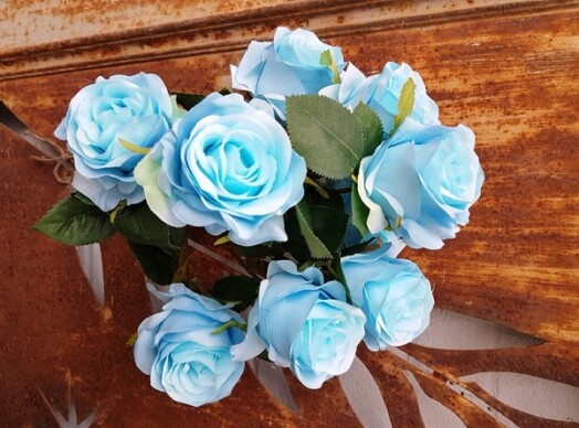 Antique Rose Bush - Blue