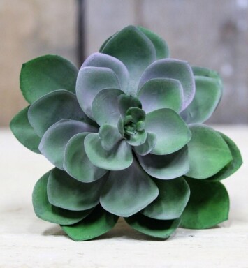 11cm Succulent Pick