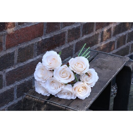 Rose Bundle - Cream