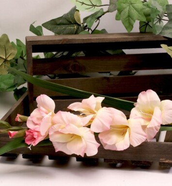 Gladiolus Spray - Light Pink