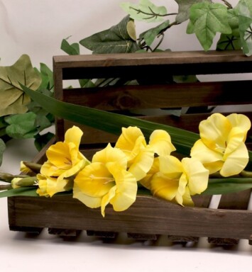 Gladiolus Spray - Yellow