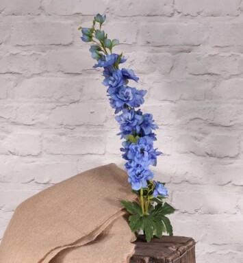 Cottage Garden Delphinium - Blue