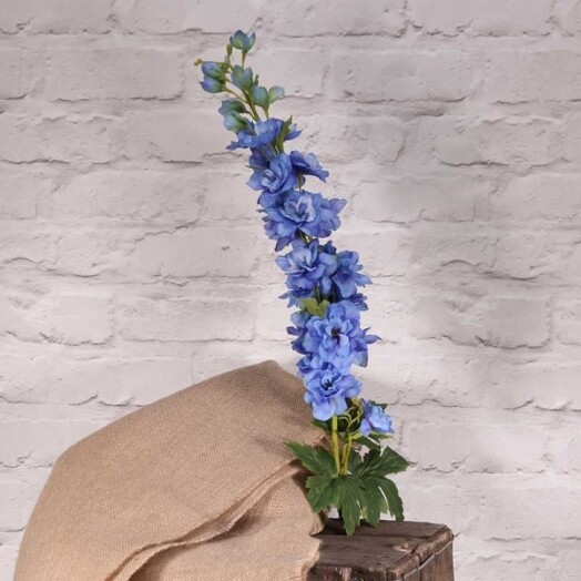 Cottage Garden Delphinium - Blue