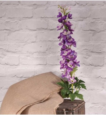 Cottage Garden Delphinium - Lavender