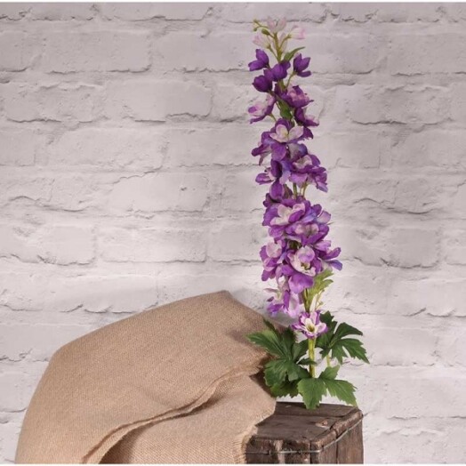 Cottage Garden Delphinium - Lavender