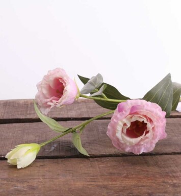 Lisianthus Spray - Lilac