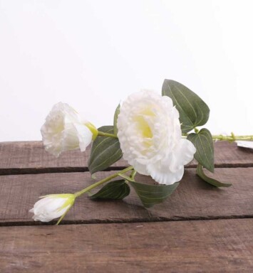 Lisianthus Spray - White