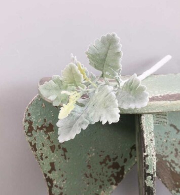 Short Stem Dusty Miller Green
