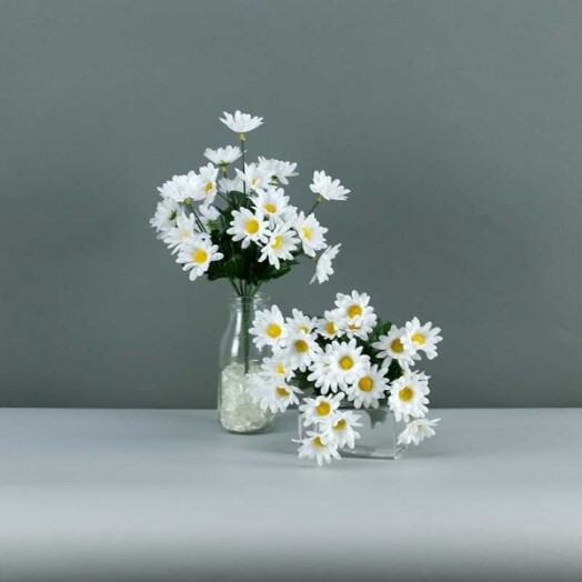 Daisy Bush White