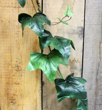 English Ivy Garland