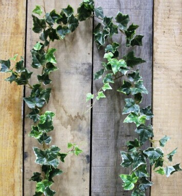 Irish Ivy Garland