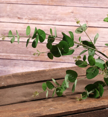 Green Eucalyptus Spray