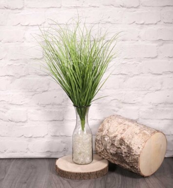 Dune Grass Bunch