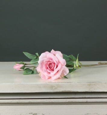 Tintagel Spray Rose - Light Pink