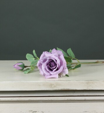 Tintagel Spray Rose - Lavender