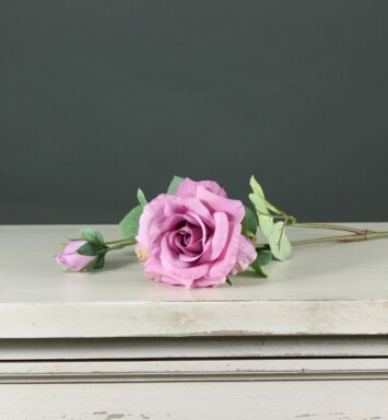 Tintagel Spray Rose - Mauve