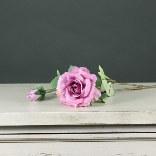 Tintagel Spray Rose - Mauve