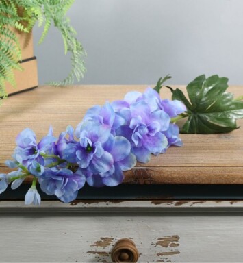 Arundel Garden Delphinium - Blue