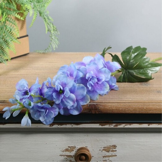 Arundel Garden Delphinium - Blue