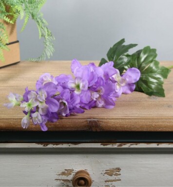 Arundel Garden Delphinium - Lavender