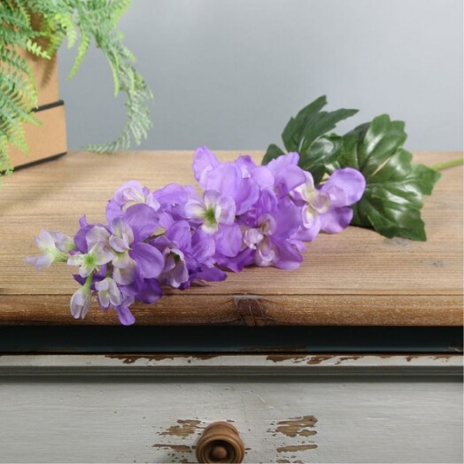 Arundel Garden Delphinium - Lavender