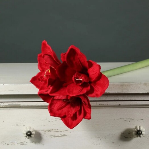 Amaryllis Spray - Red